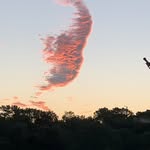 Mark Kulik - @boonswilla1 - Instagram
