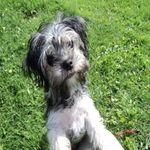 Mark Kulik - @max9a2011avoviksjm - Instagram
