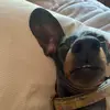 markkulik445 - @markkulik445 - TikTok