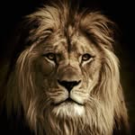 Mark Kuman - @kumanmark - Instagram