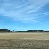 Markus - @markkuman - TikTok