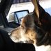 Mark Kundert - Facebook