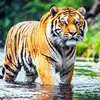 Mark_Munesh - @markmunesh - TikTok