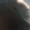 Marek Kuzimski - @marek.kuzimski - TikTok
