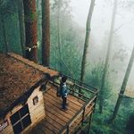 Mark Kwan - @kwan.mark - Instagram