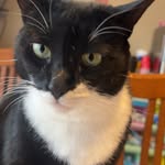 Mark Labelle - @marklabelle60 - Instagram