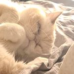 Mark Labelle - @mark.labelle1978 - Instagram