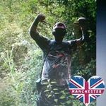 Mark Lacy - @marklacy7964 - Instagram