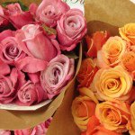 Pierre Lafond Market - @pierrelafondmarket - Instagram