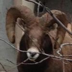 Mark LaGrange - @mark.lagrange - Instagram
