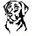 Mark Lamers - Facebook