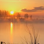 Mark Lamers - @mark_lamers1973 - Instagram