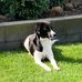 Mark Lamers - Facebook