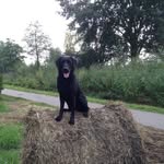 Mark Lamers - @mark_lamers - Instagram