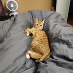 Mark Lammers - @mark_lammers1 - Instagram