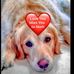 Mark LaMonica - Facebook