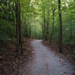 Mark Lamson - @lamsonmark - Instagram