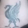 Mark_L24 - @marklancaster24 - TikTok