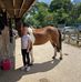 Mark Lander - Facebook