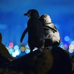 Mark Landers - @marknarley - Instagram