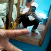 Mark🤠 - @marklandi16 - TikTok