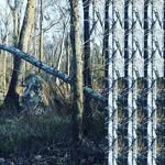 Mark Landry - @memphissasquatch - Instagram