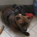 Marko Langbein - Facebook