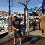 Mark Langford - @m.langford - Instagram