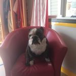 Mark Glendon Langille - @tenboy35 - Instagram