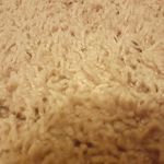 Mark Gerald Lanning - @mark.lanning - Instagram