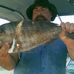 Mark Lansdell - Facebook