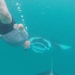 Mark Lansdown - @mlansdown23 - Instagram