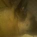 Mark Lantis - Facebook