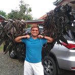 Mark Jeff Dalisay Lanzon - Facebook