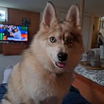 Mark Laplante - @mark.laplante - Instagram