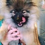 Mark Larman - @marklarman - Instagram
