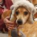 Mark A. Larrick - Facebook