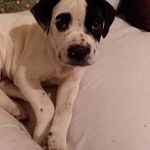 Mark Lassiter - @mlassiteropiwan - Instagram