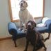 Mark Lauber - Facebook