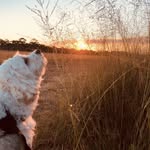 Mark Laurance - @markalaurance - Instagram