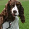 Mark Lauseng - @mark.lauseng - TikTok