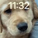 Mark Lausier - @mlausier - Instagram