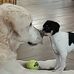 Mark Lauwers - Facebook