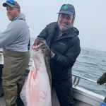 Mark LaValle - @lavallemark - Instagram