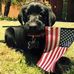 Mark C Lavelle - Facebook