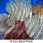 Mark Lavelle - @citizenship_service55 - Instagram