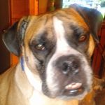 Mark Lavelle - @mark.lavelle.756 - Instagram