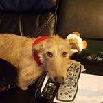 Mark Lawless - @mad_mark__ - Instagram