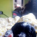 Mark Layden - @mark.layden - Instagram
