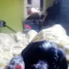 marklayden4 - @marklayden4 - TikTok